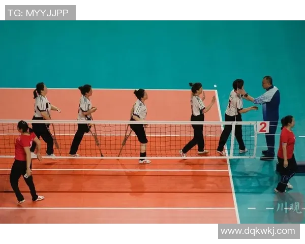 武汉排球队快攻战术解析与深度剖析排球技艺的魅力与挑战